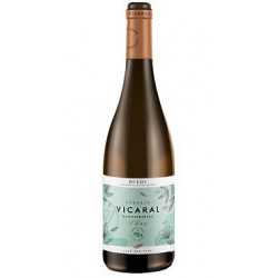 Vicaral Verdejo 