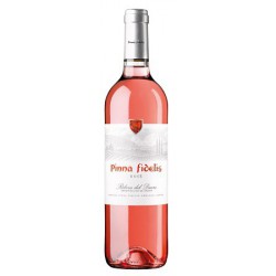 Pinna Fidelis Rose