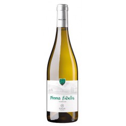 Pinna Fidelis Verdejo