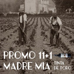 Madremia Promociòn 11+1