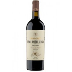 PradoRey Finca Valdelayegua
